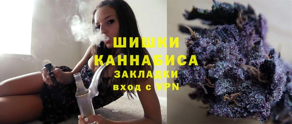 PSILOCYBIN Горно-Алтайск