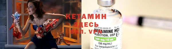 PSILOCYBIN Горно-Алтайск