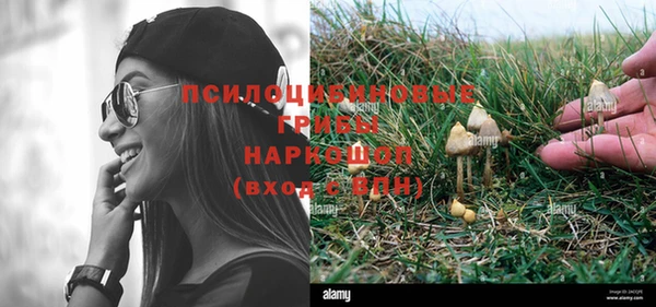 спайс Горнозаводск