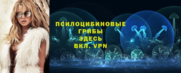 марки nbome Горняк