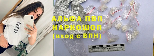 PSILOCYBIN Горно-Алтайск