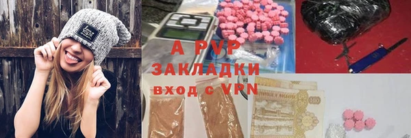 PSILOCYBIN Горно-Алтайск