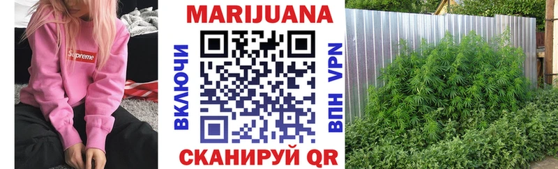 Бошки Шишки план  Покачи 